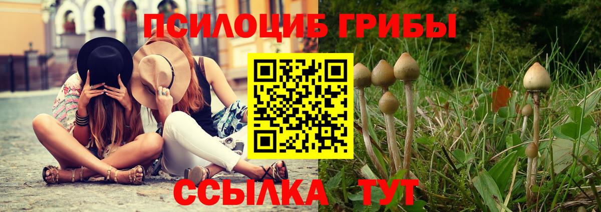 Богданович  Псилоцибиновые грибы Magic Shrooms  Вход с VPN 